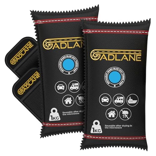 GADLANE X-Large Reusable Car Dehumidifier 1KG