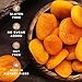 Biomey Big Size Dried Turkish Apricots 2 LB - No Added Sugar - Vegan - Non-GMO - Superfood, Healthy Snack - Great Source of Potassium & Fiber - Gluten Free, Kosher and Vegan
