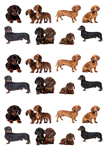 24 Stand Up Dachshund Sausage Dog Puppy Themed Edible Wafer paper Cake Toppers Decorations