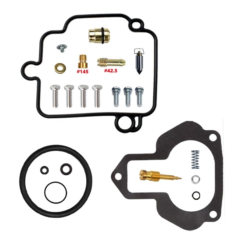 Kit Réparation Carburateur YFM350X pour Stopper les Fuites de Carburant