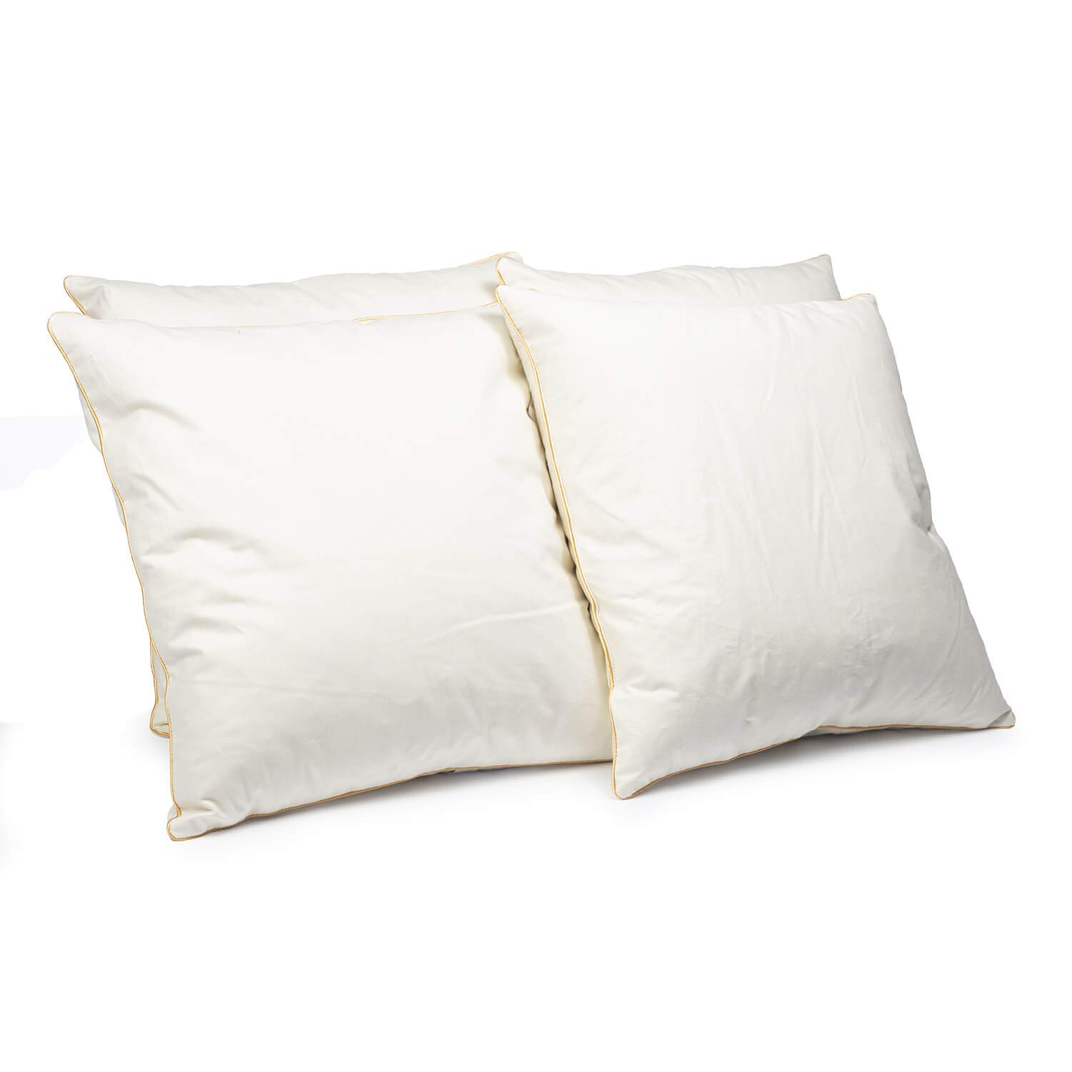 H&F Heimtextilien 4er Set Federkissen 40x40 cm | 300g Kissenfülung 100% Federn | Kissen mit OekoTex Zertifikat | Bezug 100% Baumwolle