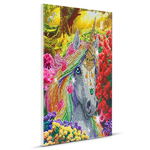 CRYSTAL ART - Kit Tableau Broderie Diamant sur Chassis Toilé - Activité Manuelle de Peinture - Loisirs Créatifs - Adulte et Enfant - Thème : Licorne - Format : 40 x 50 cm