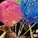 Jiesky 30 Set 27inch Big Clear Balloons Holder Sticks With Cups, Long Reusable Bobo Balloon Holder Sticks For 10in To 30in Various Balloons Birthday Festivals Wedding Party