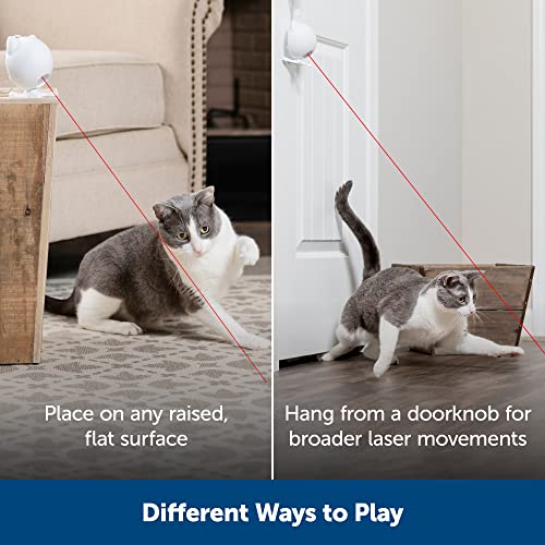 Petsafe Dancing Dot - Automatic Cat Laser Toy - Interactive - Relieves Anxiety & Boredom - Bug-Like Laser Pattern - Hands-Free Play - Hang From Doorknob Or Set On Elevated Surface - Play-All-Day Mode #TOP3