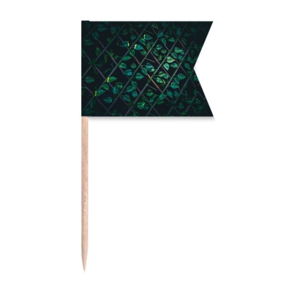 Photo nature pour gâteau de fête et décoration végétale DIYlab Perle de rosée