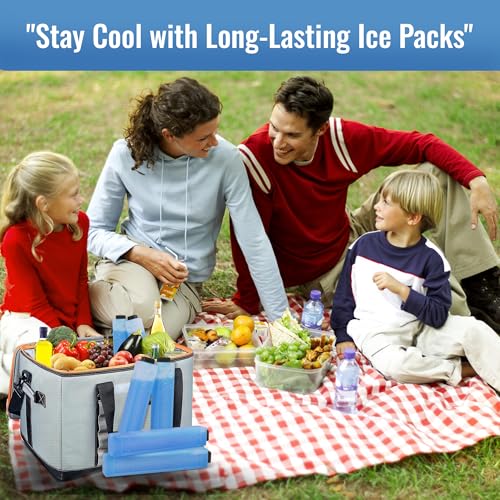 Image of Ice Packs for Coolers Reusable Long Lasting Freezer Sealed Leck Proof Packs for Lunch Bags /Boxes, Cooler Backpack, Camping, Beach, Picnics,Sports Fishing and More (Set of 4, Blue)