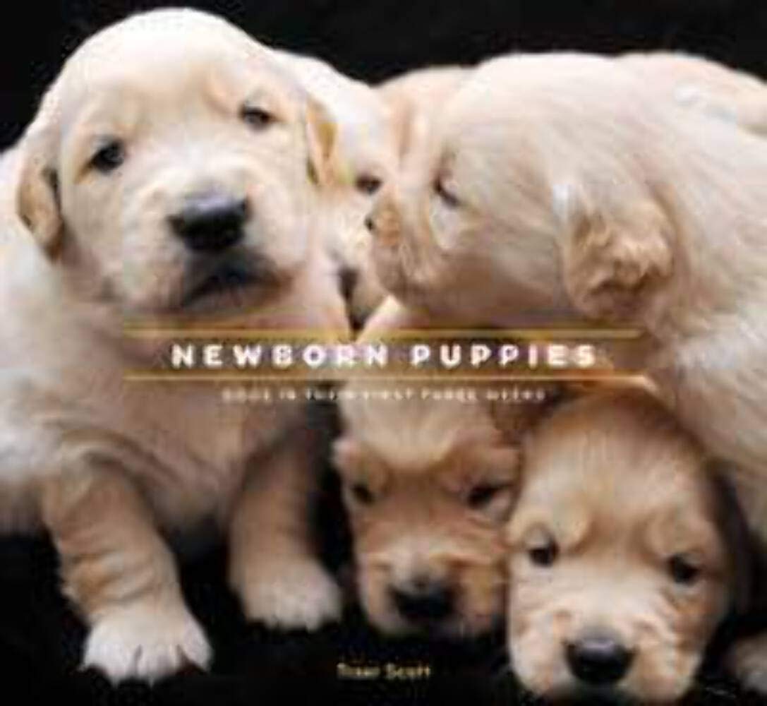 Newborn Puppies hc: Dogs in Their First Three Weeks