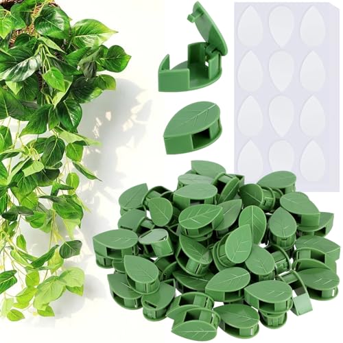 CllyCnny Plant Wall Clips: 60PCS Plastic Plant Climbing Wall Fixing