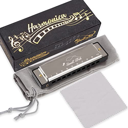 Best Blues Harmonica For Dummies Cheat Sheet 2022 Where to Buy