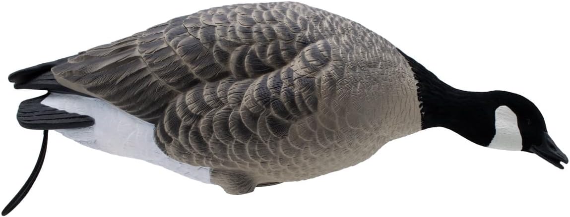 Final Approach Live Full-Body Lesser Canada Goose Decoys, 6 Pack in Brown