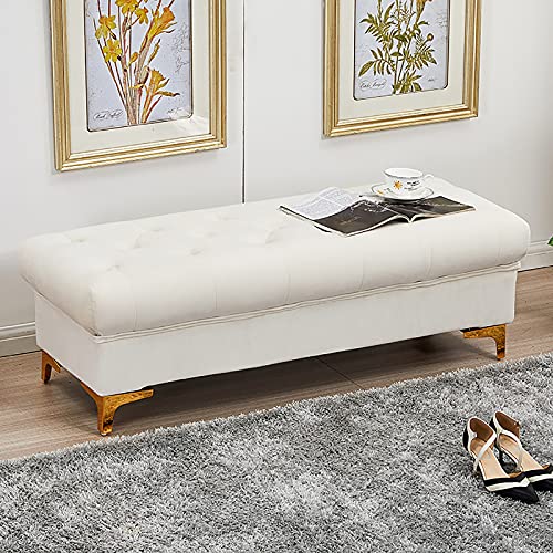 Banco otomano de almacenamiento, asiento tapizado para dormitorio o sala de estar con almacenamiento multifuncional