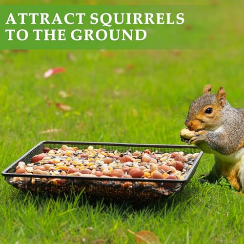 MIXXIDEA Ground Bird Feeder Tray 11x11 Inches, Metal Platform Mesh Seed Tray for Bird Feeders, Great Attracting Garden Yard Decoration for Wild Birds Squirrels Dove,1 Pack - image 6