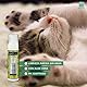 MENFORSAN Frida Kahlo Premium Kulturbeutel Pflege für Ihr Haustier von Swarovski, enthält 3 Produkte für Hunde und Katzen, Conditioner Shampoo, Deodorant, Schaumshampoo mit Aloe Vera
