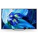 Sony XBR-55A8G 55 Inch TV: BRAVIA OLED 4K Ultra HD Smart TV with HDR and Alexa Compatibility - 2019 Model