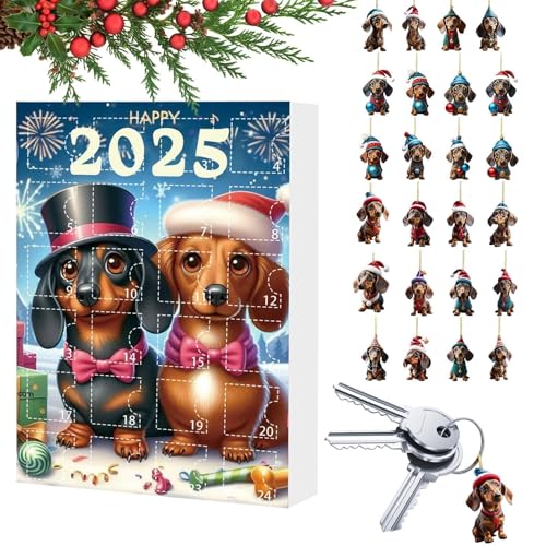 Teckel de l'Avent de Noël 2025, le cadeau idéal de décembre pour amateurs de chiens