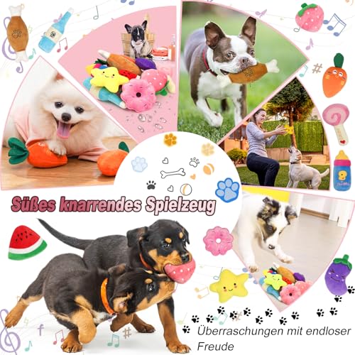 Reyshin 10 Stück Quietschspielzeug Plüsch Hundespielzeug, Obst Snacks und Gemüse für Hunde Quietschendes Spielzeug für Haustier Interaktives Spielzeug für Hunde (H01)