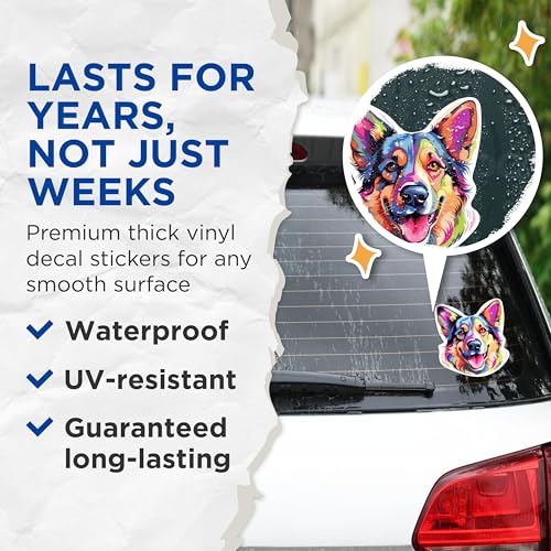 View 4