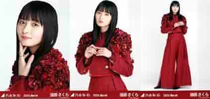 遠藤さくら スペシャル衣装46 コンプ＋SR 乃木坂46 生写真 遠藤さくら スペシャル衣装20 コンプ - メルカリ