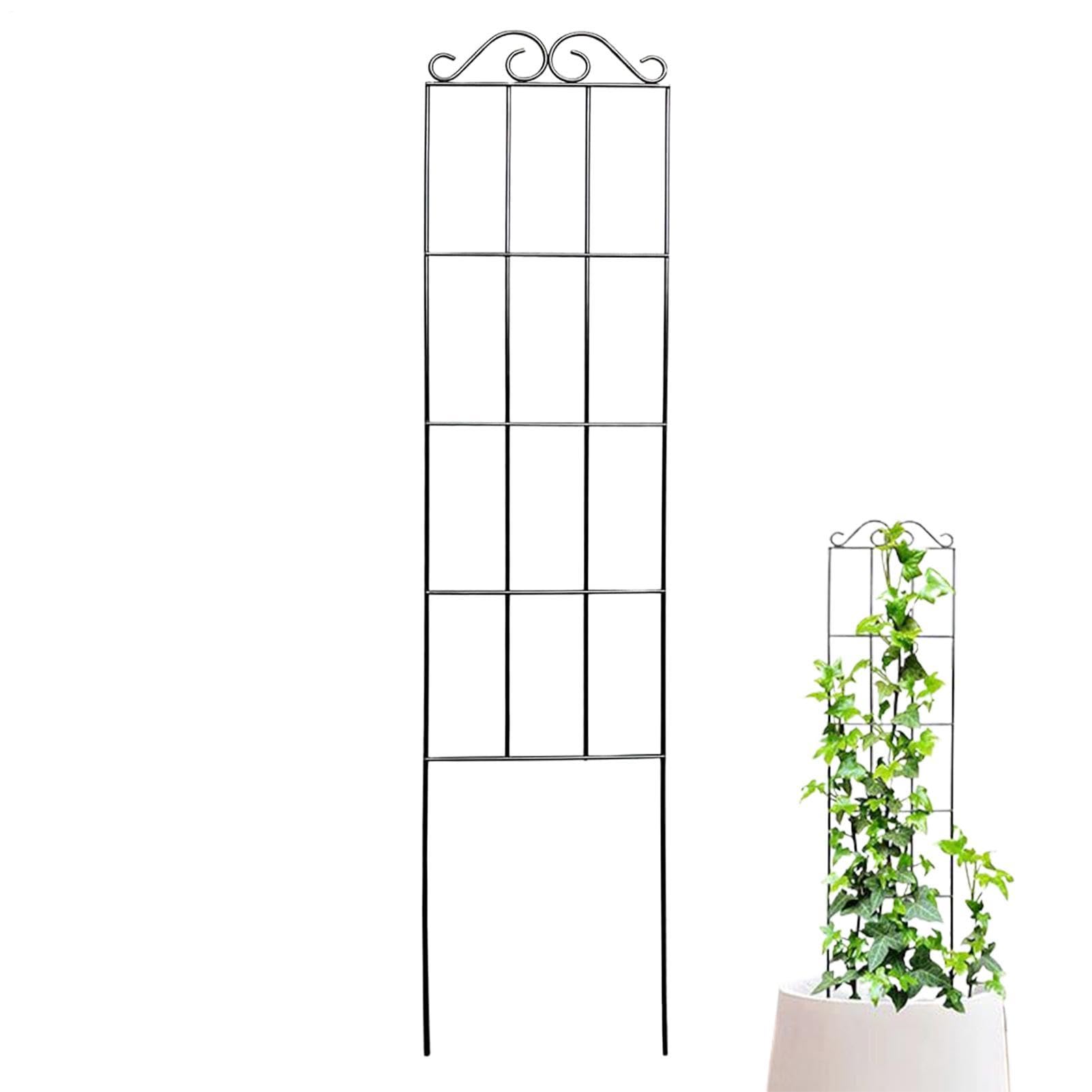 Estante de escalada de vid de jardín para flores y aficionados a la botánica