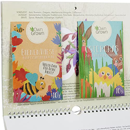 Saatgut Kalender 2023: Premium Garten Kalender 2023, 24 Sorten Gemüse Samen, Kräuter, Obst, Blumen – Garten Wandkalender, OwnGrown Jahreskalender 2023 - Image 4