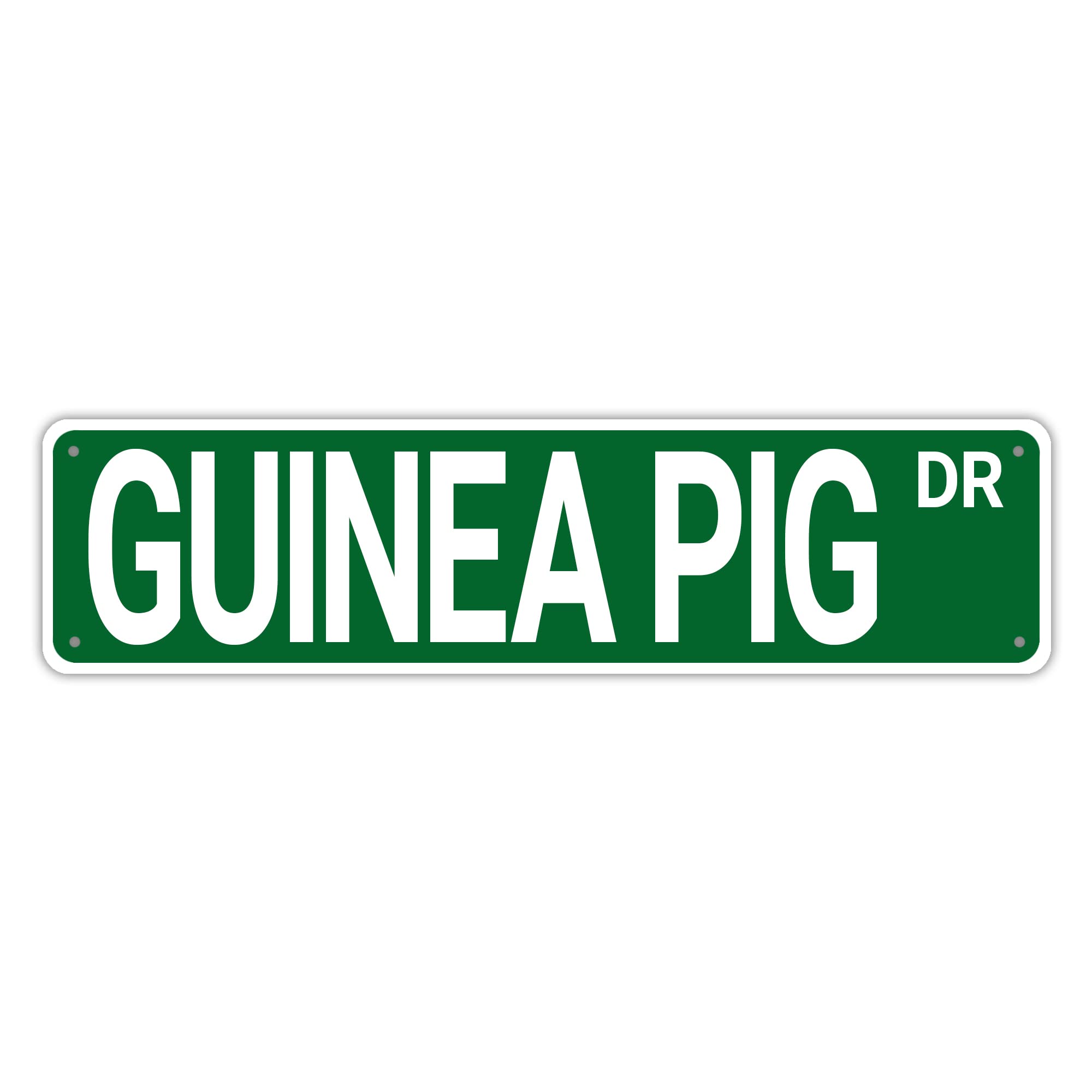 Guinea Pig Dr Retro Tin Signs Aluminum Metal Plaque Quotes Exit Home Kitchen Garden Non-Fade Pub Club Decor 4x16 Inch