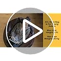 ComfyBean Bag with Beans Filled XXXL Bean Bag Sofa with Free Cushion and Footrest - Official : LoungeLuxe Combo (Matching Color : Regular, Indigo) - Image 3