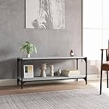 Grand espace de rangement et dimensions : ce meuble TV polyvalent offre suffisamment d'espace pour les lecteurs DVD, les appareils de streaming et les supports multimédias avec ses dimensions de 100 x 33 x 41 cm (l x p x h) et ses 2 étagères spacieuses. Il est idéal comme meuble TV ou meuble bas.