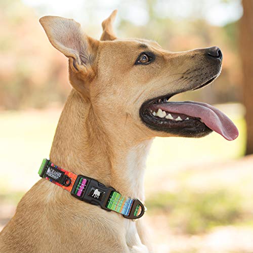 Leashboss Patterned Reflective Dog Collar, Pattern Collection, Colorful Dog Collar With Triple Reflection Threads For Small, Medium And Large Dogs (Medium 13.5"-19.5" Neck X 1" Wide, Blanket Pattern) #TOP4