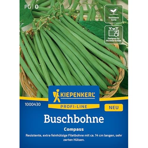 Kiepenkerl Profi-Line Buschbohnensamen Compass 1000430 - Gemüsesamen für eine resistente Buschbohne mit 14 cm langen Hülsen und einem Inhalt für 8 bis 10 lfd. Meter - Saatgut