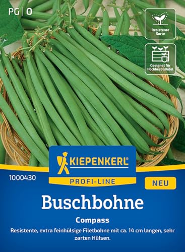 Kiepenkerl Profi-Line Buschbohnensamen Compass 1000430 - Gemüsesamen für eine resistente Buschbohne mit 14 cm langen Hülsen und einem Inhalt für 8 bis 10 lfd. Meter - Saatgut