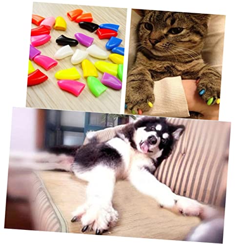 Abaodam 20 L̒܃Jo[ L̒܂̃qg LЂ܃Lbv L̒܂