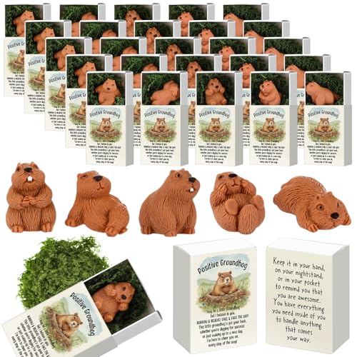 Cinnvoice 25 Set Halloween Small Gifts Bulk Party Favors, Groundhog
