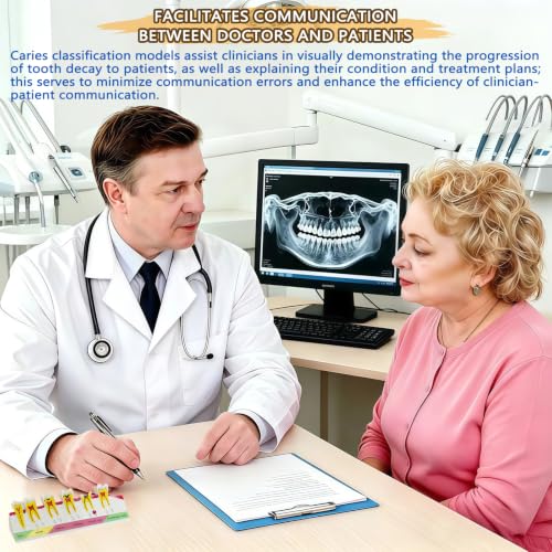 Image of Dental Caries Progression Model,6-Stage Tooth Decay Classification Model for Dental Education,Dental Training,Demonstrations,Oral Care Educatio