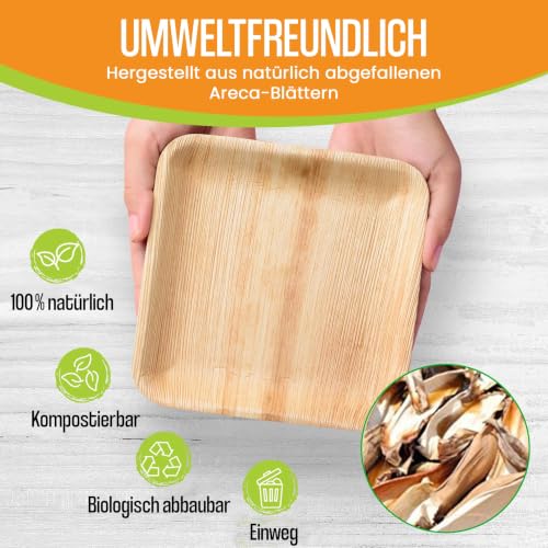 Raj Palmblatt Teller [400-Stuck] - 20 cm Quadratische | Umweltfreundliche – Ansicht 5