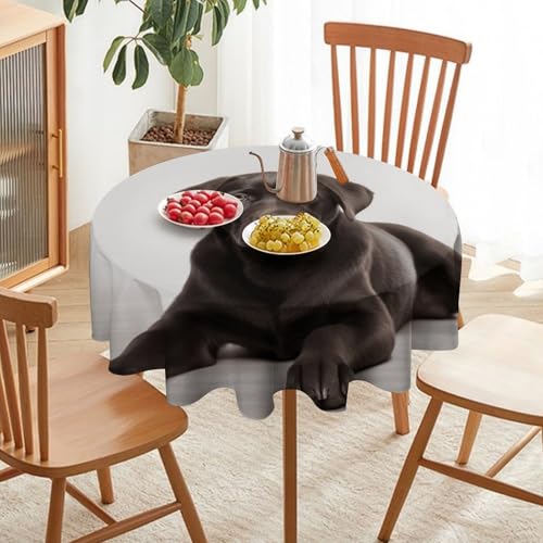 Nappe ronde décorative extérieure en polyester imprimé de chien - 7