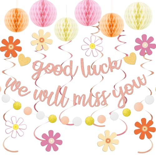 Going Away Party Decorations for Women Farewell Decorations Party with Rose Gold Good Luck We Will Miss You Banner Perfect for Office Coworker Goodbye Retirement Leaving Moving Dcor Supplies