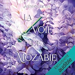 Page de couverture de La voie de Mozabie
