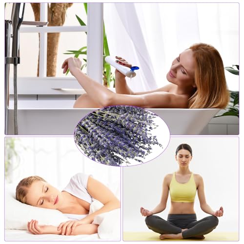 Jutom-12-Pack-Total-2280-Stems-Dried-Lavender-Bundle-Organic-Lavender-Flowers-Bulk-Decor-Natural-Dried-Lavender-Bunches-for-DIY-Arrangements-Home-Party-Wedding-Decorations-155-Inches Jutom 12 Pack Total 2280 Stems Dried Lavender Bundle Organic Lavender Flowers Bulk Decor Natural Dried Lavender Bunches for DIY Arrangements Home Party Wedding Decorations 155 Inches