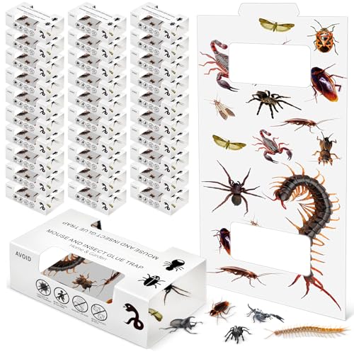 Image of Qualirey 30 Pcs Spider Traps Indoor Roach Bug Ant Cricket Insect Sticky Traps Adhesive Cockroach Rat Mice Glue Boards for House Kitchen Bathroom Basement Garage(Window Style)