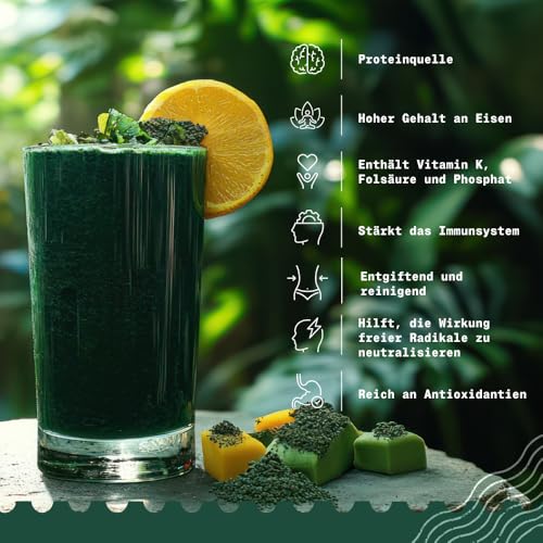 NaturaleBio Spirulina Pulver 100g. Natürliches und rohes Spirulina-Algen Pulver. Vegan und rein. In Tropischen Regionen Asiens kultiviert. Ideal für Getränke, Smoothies und Rezepte.