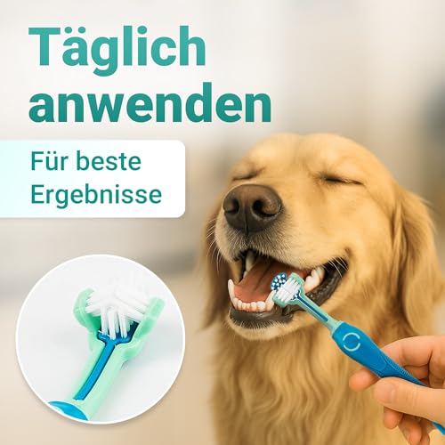 emmi-pet Zahnpflegeset für Hunde - 1x3köpfige Hundezahnbürste mit 1x Hundezahnpasta und 2x Fingerzahnbürste (Blau, Erwachsene - Senioren)