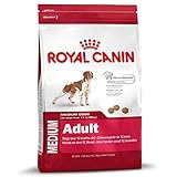 Royal Canin - Royal Canin Medium Adult - 243 - 4 kg