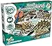 Science4you - Kit Dinosauri 4 in 1 - Fossili da Scavare e Assemblare di 4 Dinosauri: T Rex, Stegosauro, Triceratopo e Velociraptor - Scheletro Dinosauro da Construire, Giocattoli per Bambini +6 Anni