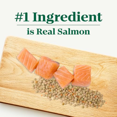 Image of Nutro Limited Ingredient Diet Dry Dog Food, Salmon & Lentils, 22 lb