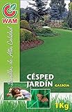 Fácil de implantar. Semillas Premium de Césped Especial Jardín Galicia WAM - 1 kg