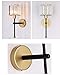 SADOVC Modern Glass Crystal Wall Sconces Battery Operated Set of 2, Gold Rechargeable Wall Lights with Remote,Non Hardwired Clear Wall Lighting Fixture Black for Bedroom Bathroom Living Room Porch