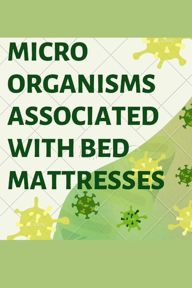 MICRO ORGANIMS ASSOCIATED WITH BED MATTRESSES eBook Tony, Jerry