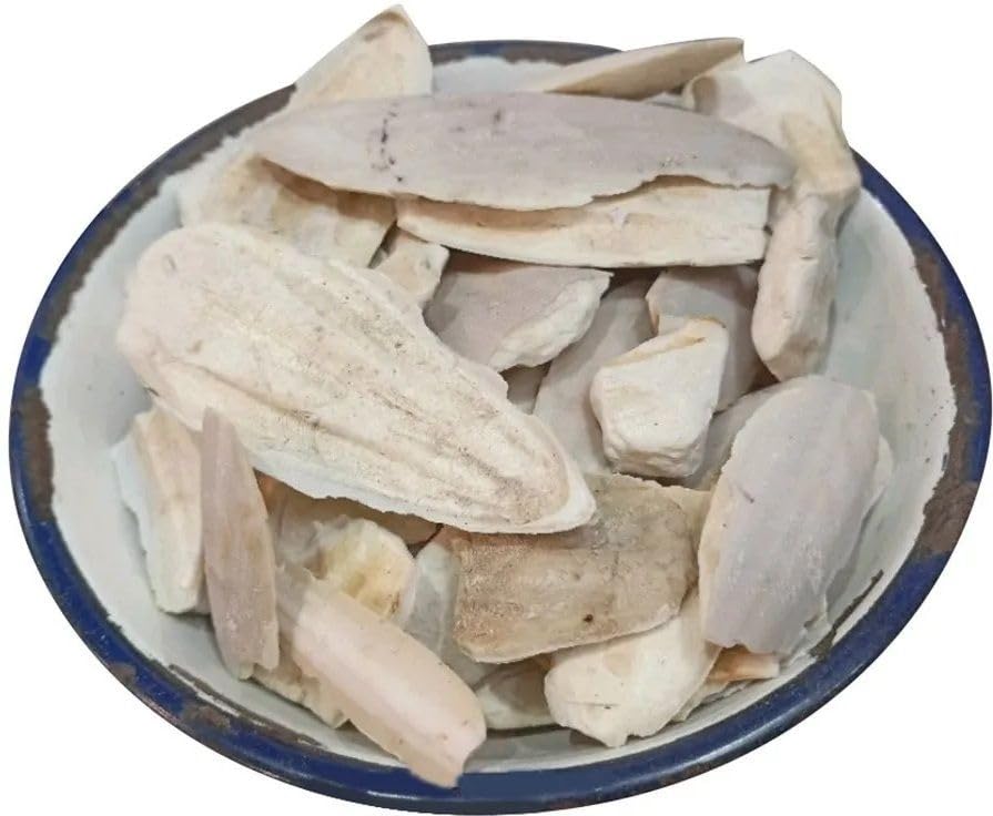 Samandar Jhag,Sea Foam,Samunder Jhag,Samunder Fan,Samundar Jhag,Cuttle Fish Bone Seed (50 g)-image-22