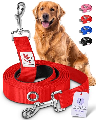 Hands-Free Dog Leash for Training & Walking