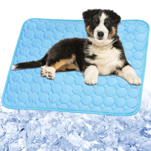 Dog Cooling Mat, 2025 Upgraded Cooling Blanket for Dogs, Washable Cool Mat for Dogs for Summer, Portable Pet Coolings Pad for Dogs & Cats Sleeping (28"x22" L Size)